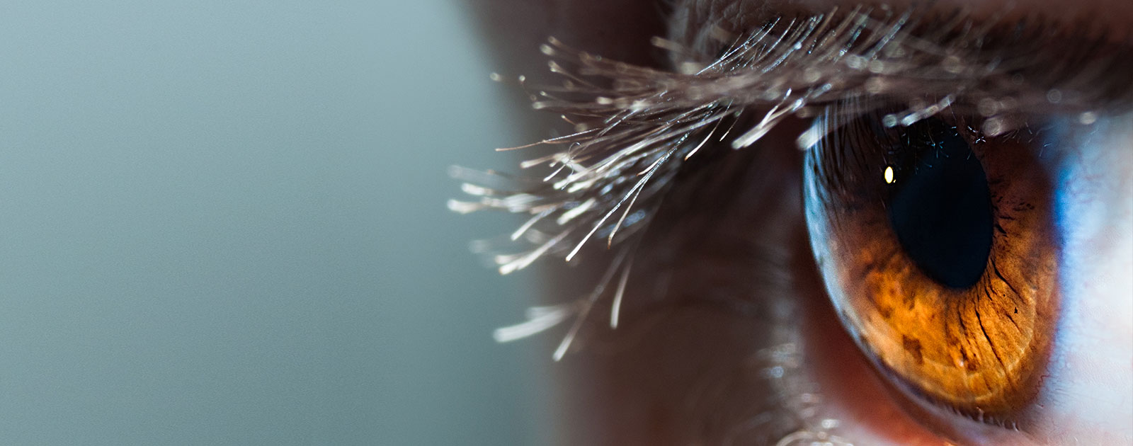 Wunderwerk Auge - Das Hightech-Organ